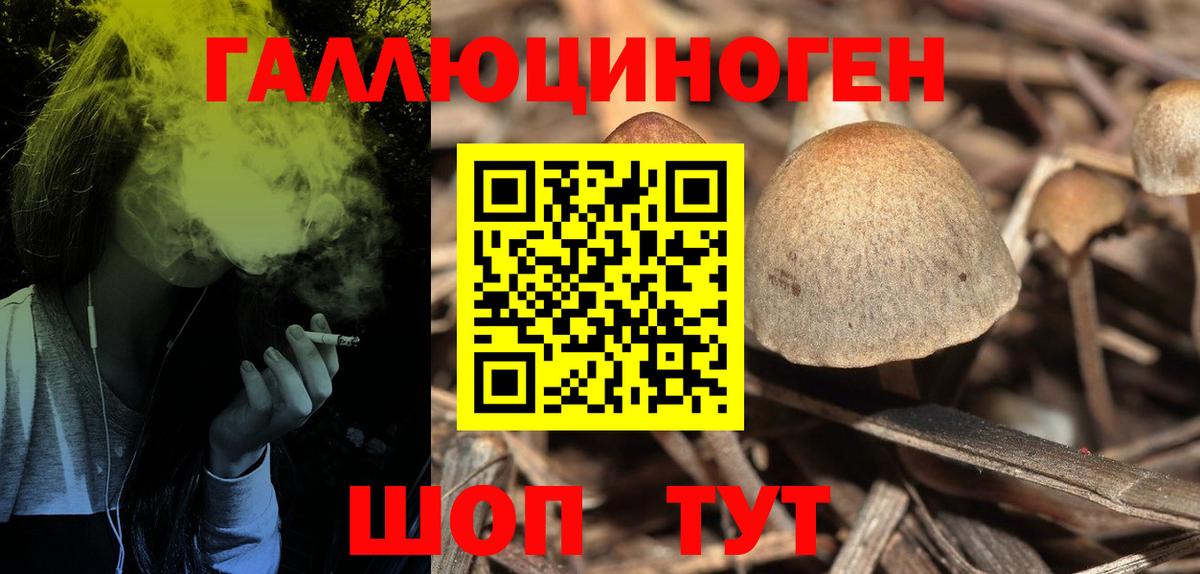 Псилоцибиновые грибы мухоморы  Псилоцибиновые грибы Cubensis  Вход с VPN  Ишимбай 